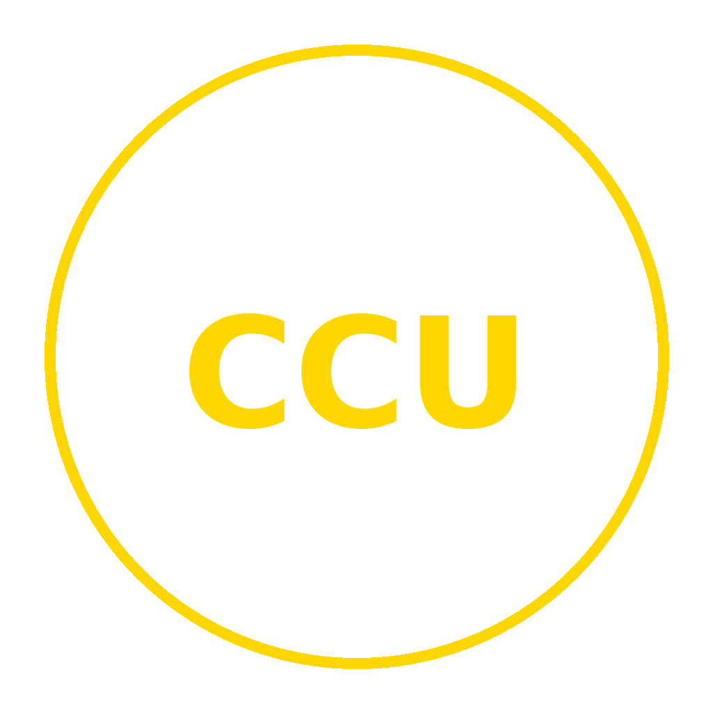 Capital & Competence Logo